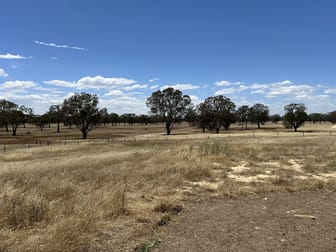 227 Possinghams Road Naracoorte SA 5271 - Image 1