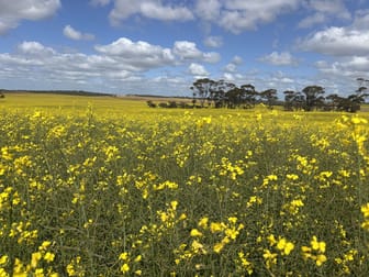 Click to view all images 1105 Coorow-Greenhead Road Coorow WA 6515 - Image 1