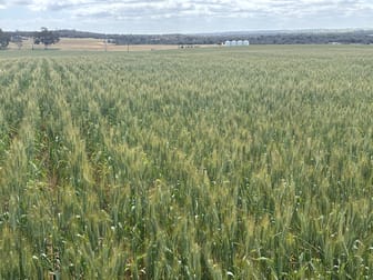 Click to view all images 1105 Coorow-Greenhead Road Coorow WA 6515 - Image 3