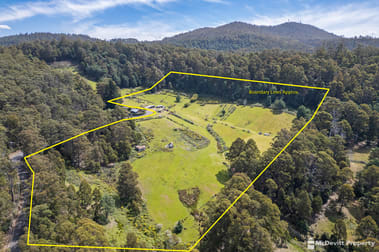 LOT 1/380 Pelverata Rd Kaoota TAS 7150 - Image 2