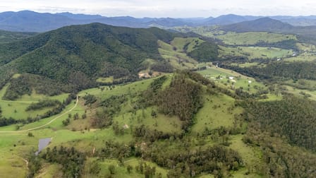 141 Khatambuhl Creek Road Mount George NSW 2424 - Image 1