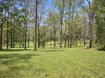 1785 Orara Way Glenreagh NSW 2450 - Image 3