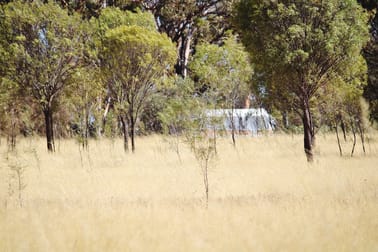 Lot 135 & 136 Nippering North Road Dumbleyung WA 6350 - Image 3