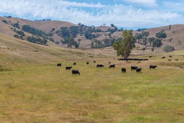 Lot 1/595 Ancona Road Ancona VIC 3715 - Image 2