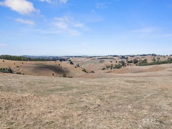 710 Korumburra - Warragul Road Ranceby VIC 3951 - Image 3