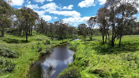 4291 Pinkett Road Red Range NSW 2370 - Image 2