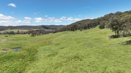 4291 Pinkett Road Red Range NSW 2370 - Image 3