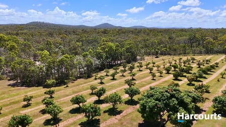 397 Capricornia Drive Deepwater QLD 4674 - Image 2