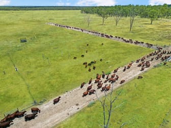 261 Krugers Road Chinchilla QLD 4413 - Image 3