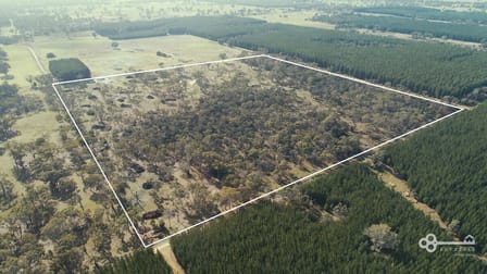 16H/ Wombwells Road Casterton VIC 3311 - Image 3