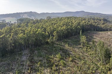 Lot 1 East Maurice Road Talawa TAS 7263 - Image 3
