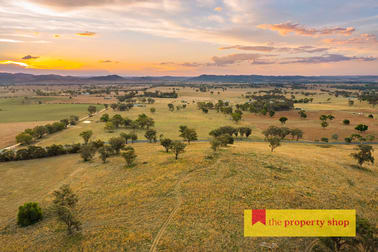 705 Springfield Lane Gulgong NSW 2852 - Image 1
