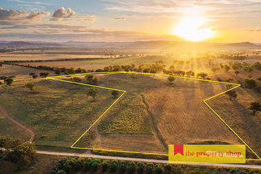 705 Springfield Lane Gulgong NSW 2852 - Image 2