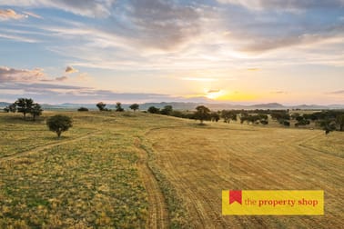 705 Springfield Lane Gulgong NSW 2852 - Image 3