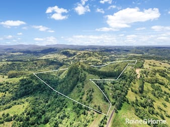 566 Koonorigan Road The Channon NSW 2480 - Image 2