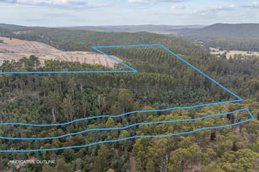 235 Butlers Road Lebrina TAS 7254 - Image 1