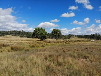 1045 Baltimore Loop Road Bonshaw NSW 2361 - Image 3