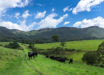 662 Avondale Road Huntley NSW 2530 - Image 3