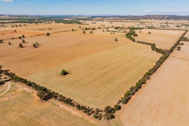 226 Cloughs Road Wagga Wagga NSW 2650 - Image 1