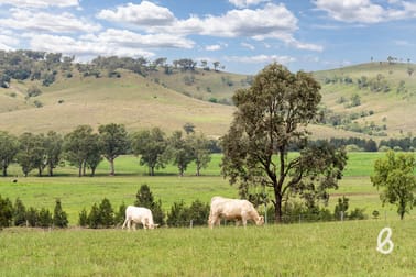 2487 Jerrys Plains Road Singleton NSW 2330 - Image 1