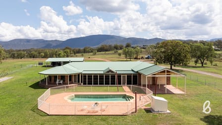 2487 Jerrys Plains Road Singleton NSW 2330 - Image 3