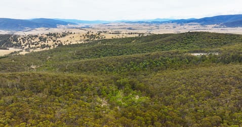 175 Kangaroo Track Omeo VIC 3898 - Image 1