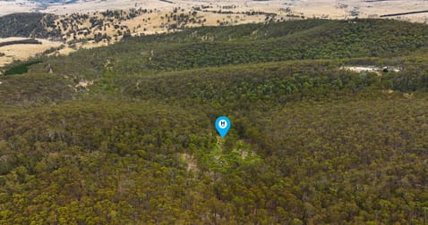 175 Kangaroo Track Omeo VIC 3898 - Image 2