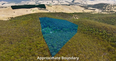 175 Kangaroo Track Omeo VIC 3898 - Image 3