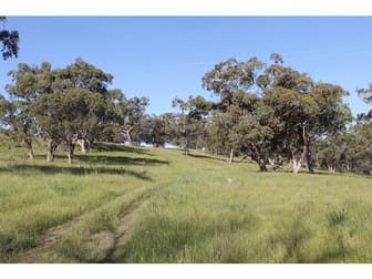 Golden Highway Cassilis NSW 2329 - Image 1