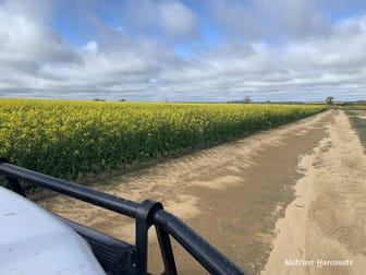16111 Goldfields Road Merredin WA 6415 - Image 1