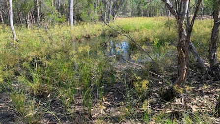 L184 Golden Glow Road Tara QLD 4421 - Image 1