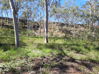 9 Sandy Creek Road Tara QLD 4421 - Image 1