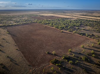 Rutherglen 181 Rutherglen Road Nyngan NSW 2825 - Image 2