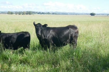 150 Fairy Hill Station Rd Casino NSW 2470 - Image 2