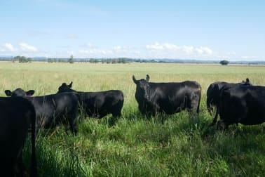 150 Fairy Hill Station Rd Casino NSW 2470 - Image 1