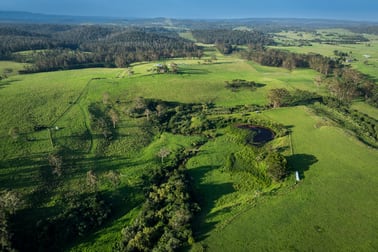 Kirmington Park, Princes Highway Milton NSW 2538 - Image 3
