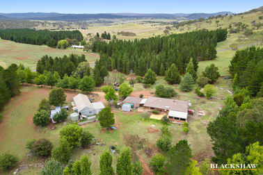 579 Jerangle Road Bredbo NSW 2626 - Image 3