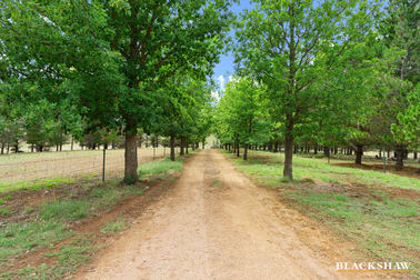 579 Jerangle Road Bredbo NSW 2626 - Image 2