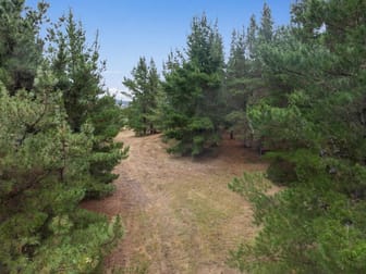 'Deodara' 158 Millynn Road Bywong NSW 2621 - Image 3