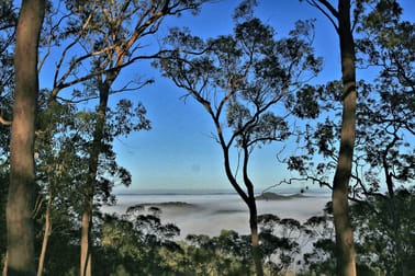 Milsons Arm Road Wollombi NSW 2325 - Image 1