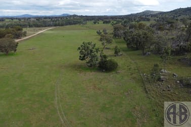 Kingstown NSW 2358 - Image 1