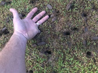 Garden & Household  business for sale in QLD - Image 2