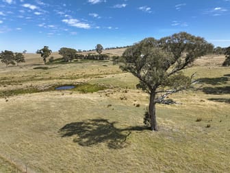 755 Beaconsfield Road Oberon NSW 2787 - Image 3