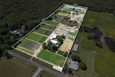 65 Eastwood Street Chandler QLD 4155 - Image 1