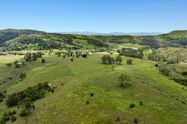 665 Theresa Creek Road Theresa Creek NSW 2469 - Image 2