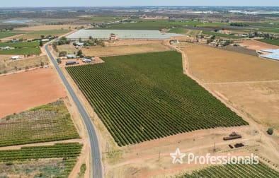 Lot 2 Twentieth Street Cardross VIC 3496 - Image 3