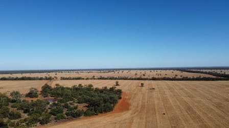 1821 Gilgai Road Miandetta NSW 2825 - Image 2