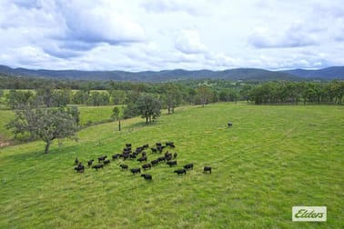 10 Razorback Creek Road Rivertree NSW 2372 - Image 3