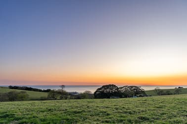 164 Princes Highway Kiama Heights NSW 2533 - Image 3