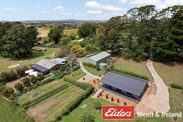 42 Wallace Lane Canobolas NSW 2800 - Image 1